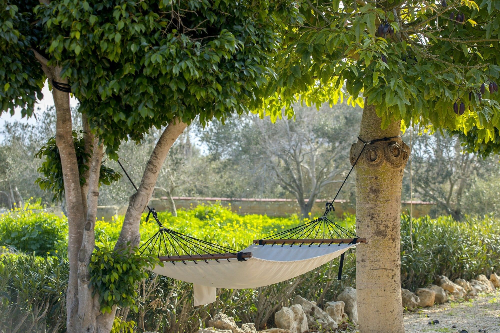 Benetta Villa Ayia Napa